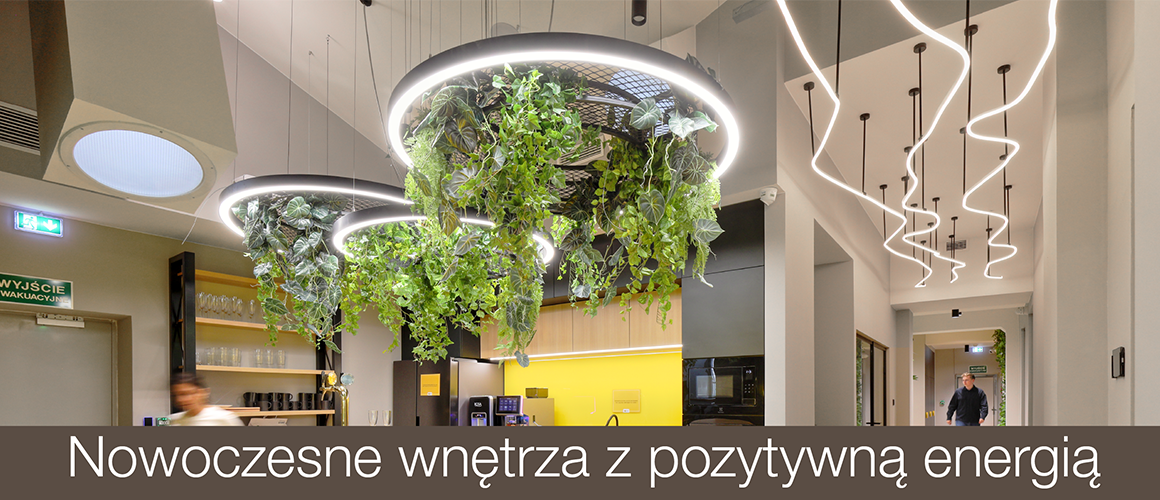 Oświetlenie w szkole językowej Tutlo - wnętrza z pozytywną energią